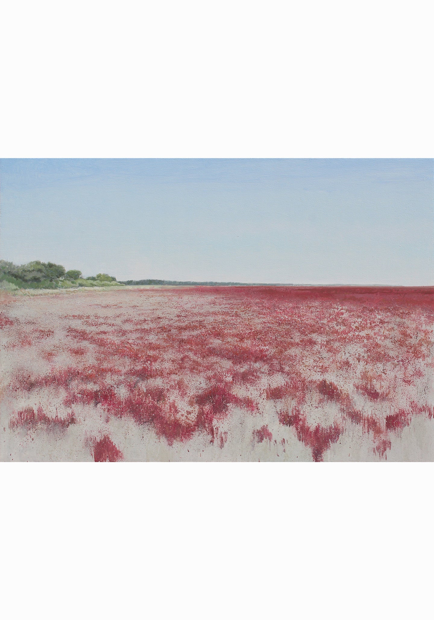 Almajal de Doñana V (2025) - José Luis Romero [50x70 cm]