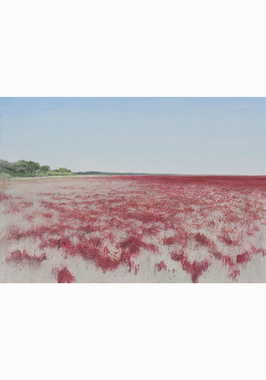 Almajal de Doñana V (2025) - José Luis Romero [50x70 cm]