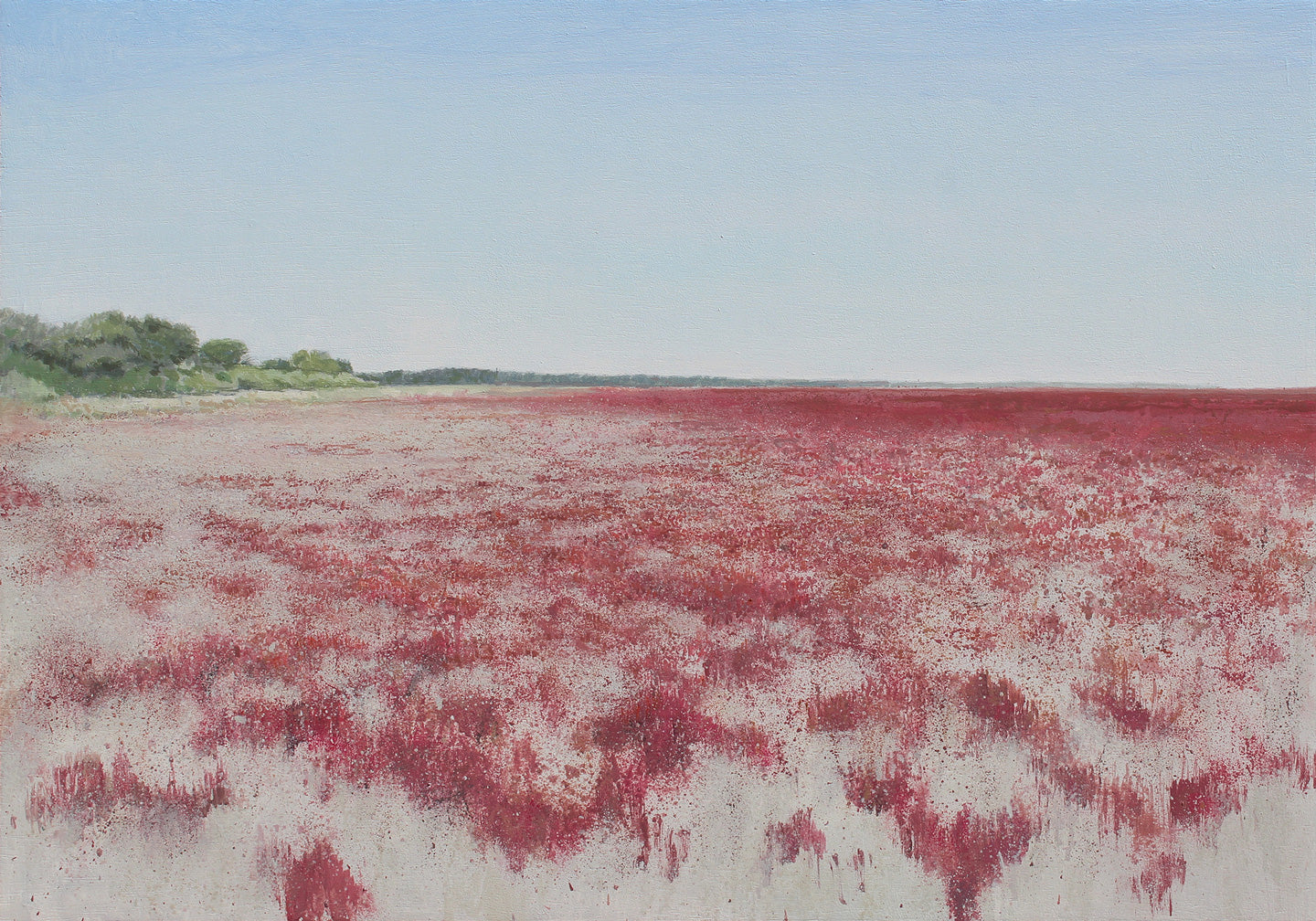 Almajal de Doñana V (2025) - José Luis Romero [50x70 cm]