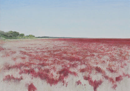 Almajal de Doñana V (2025) - José Luis Romero [50x70 cm]