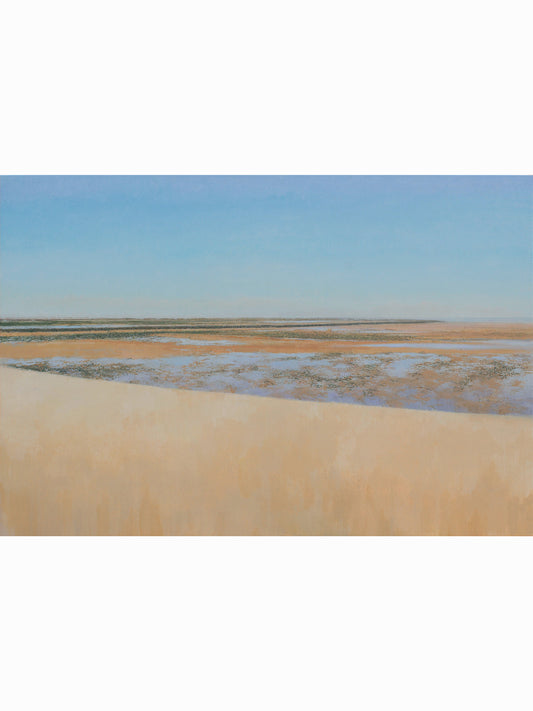 Bajamar en La Jara XIV (2025) - José Luis Romero [66x96 cm]