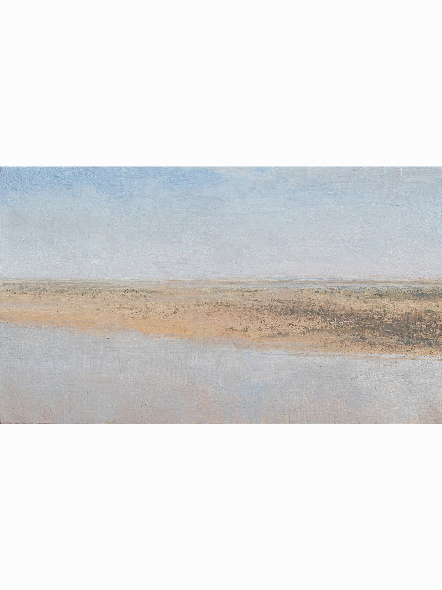 Bajamar en La Jara XVIII (2025) - José Luis Romero [14x24 cm]