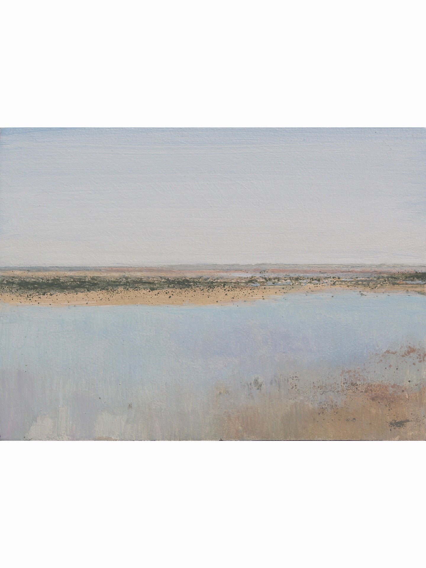 Bajamar en La Jara XXI (2025) - José Luis Romero [17x23 cm]