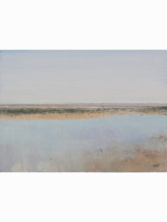 Bajamar en La Jara XXI (2025) - José Luis Romero [17x23 cm]
