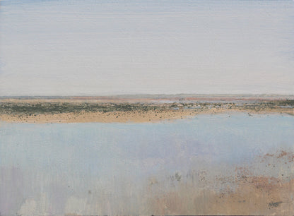 Bajamar en La Jara XXI (2025) - José Luis Romero [17x23 cm]