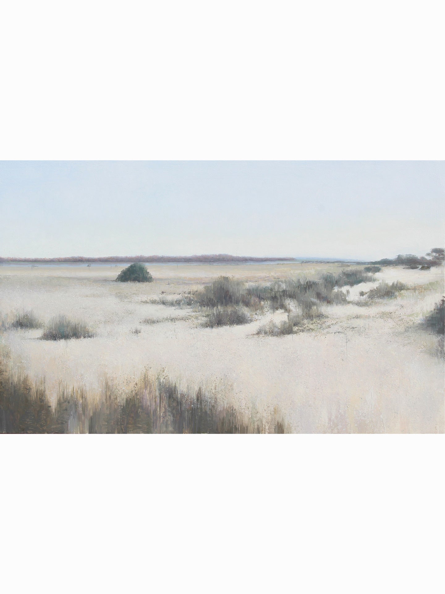 Caño Madre II (2025) - José Luis Romero [40x65 cm]