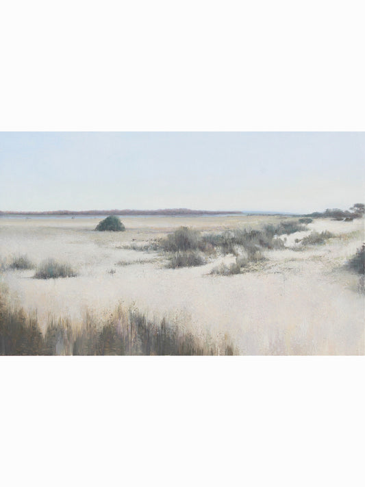 Caño Madre II (2025) - José Luis Romero [40x65 cm]