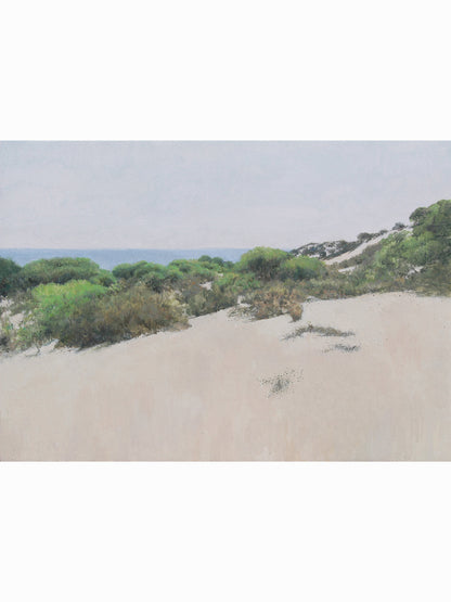 Cuesta Maneli III (2025) - José Luis Romero [36x50 cm]