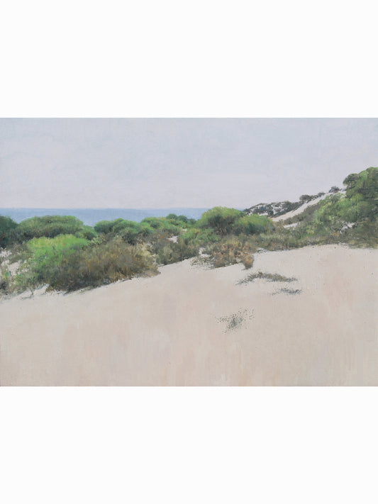Cuesta Maneli III (2025) - José Luis Romero [36x50 cm]