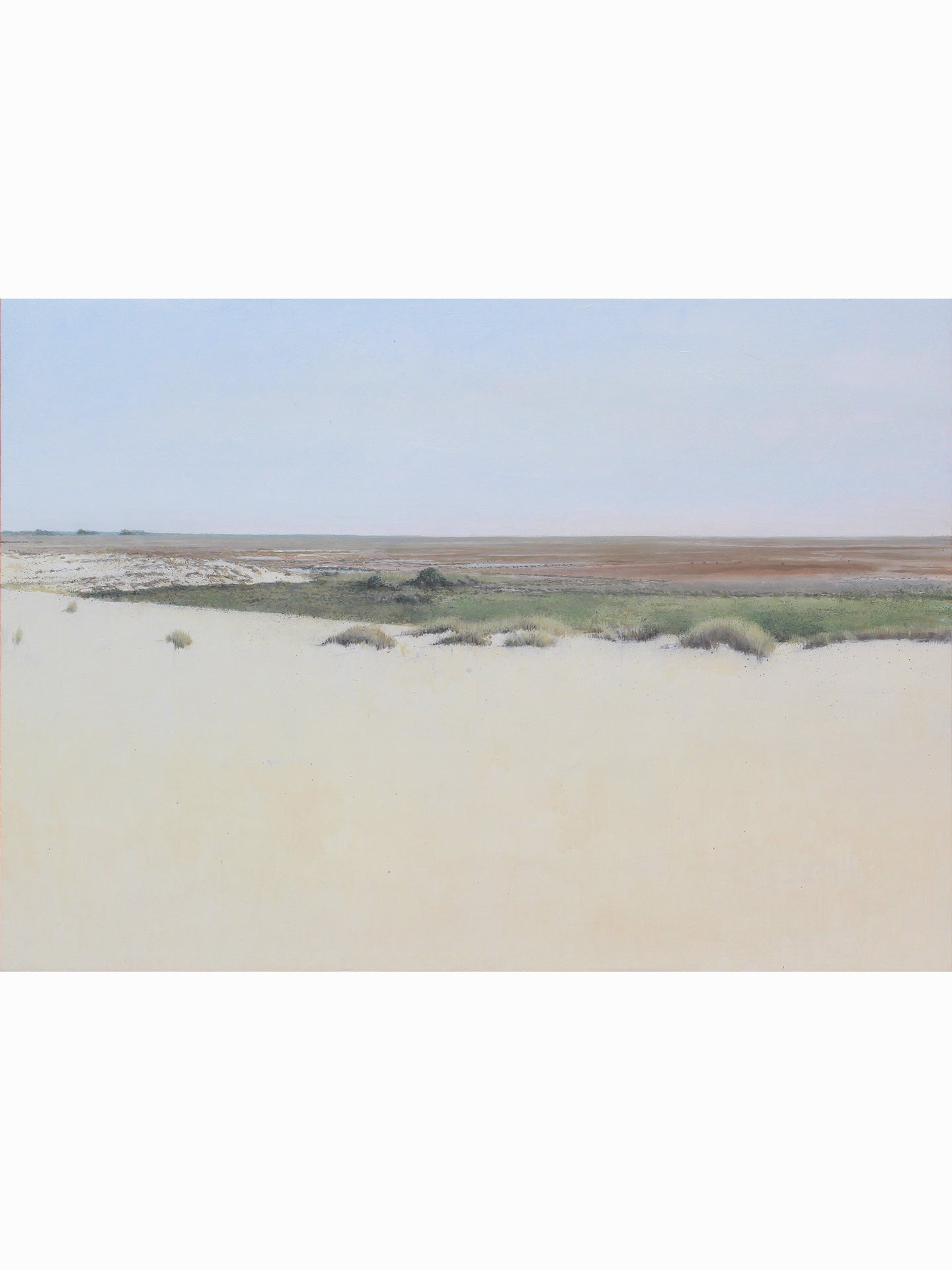 Doñana desde el Cerro de los Ánsares III (2025) - José Luis Romero [52x73 cm]