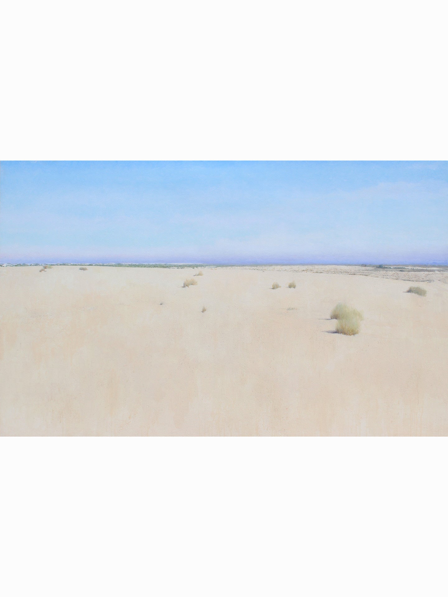 Doñana desde el Cerro de los Ánsares IV (2025) - José Luis Romero [80x130 cm]