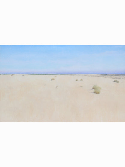 Doñana desde el Cerro de los Ánsares IV (2025) - José Luis Romero [80x130 cm]