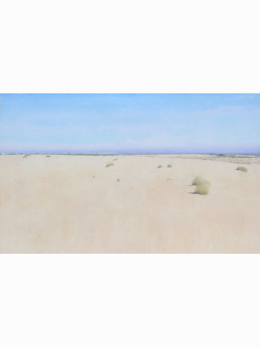 Doñana desde el Cerro de los Ánsares IV (2025) - José Luis Romero [80x130 cm]