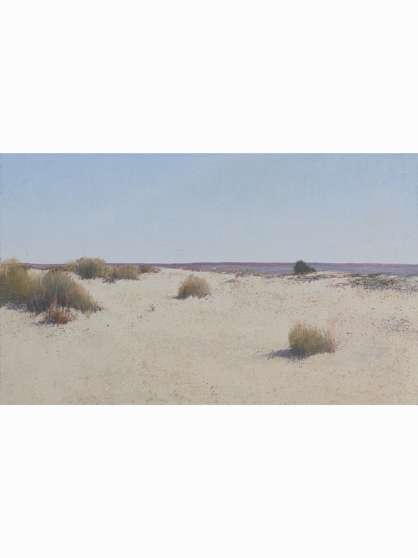 Doñana desde el Cerro de los Ánsares VII (2025) - José Luis Romero [19x31 cm]