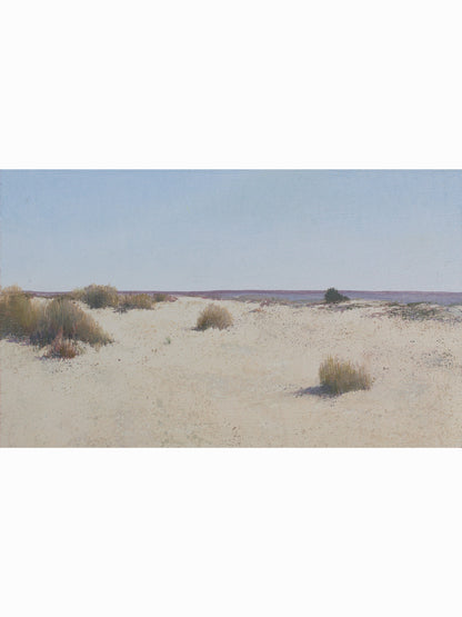Doñana desde el Cerro de los Ánsares VII (2025) - José Luis Romero [19x31 cm]