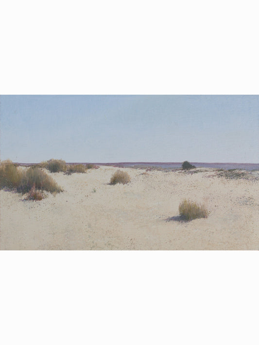 Doñana desde el Cerro de los Ánsares VII (2025) - José Luis Romero [19x31 cm]