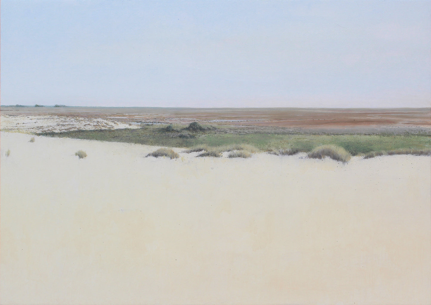 Doñana desde el Cerro de los Ánsares III (2025) - José Luis Romero [52x73 cm]