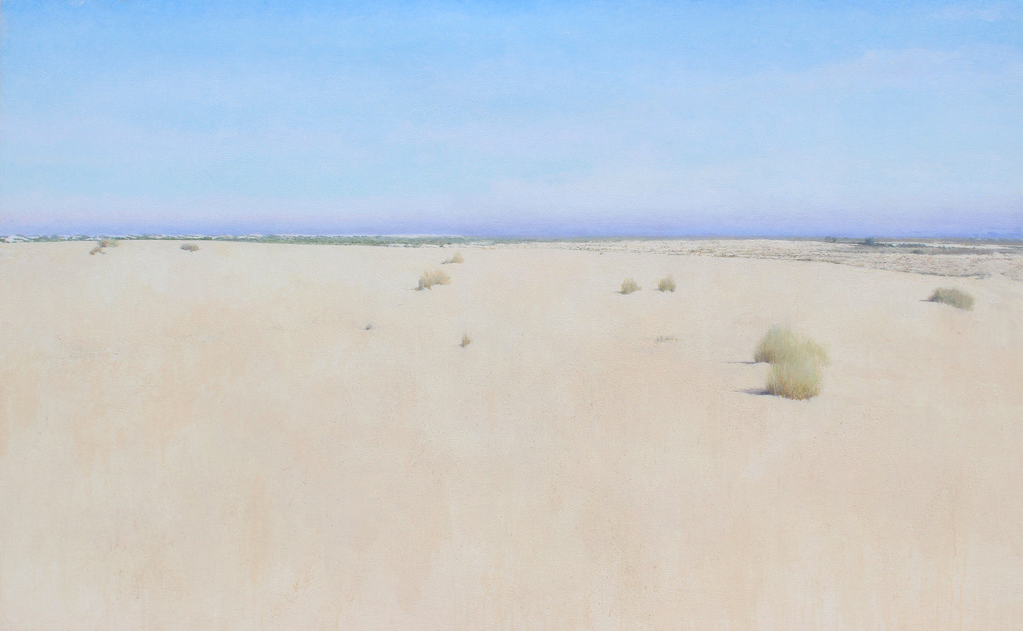 Doñana desde el Cerro de los Ánsares IV (2025) - José Luis Romero [80x130 cm]