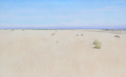 Doñana desde el Cerro de los Ánsares IV (2025) - José Luis Romero [80x130 cm]