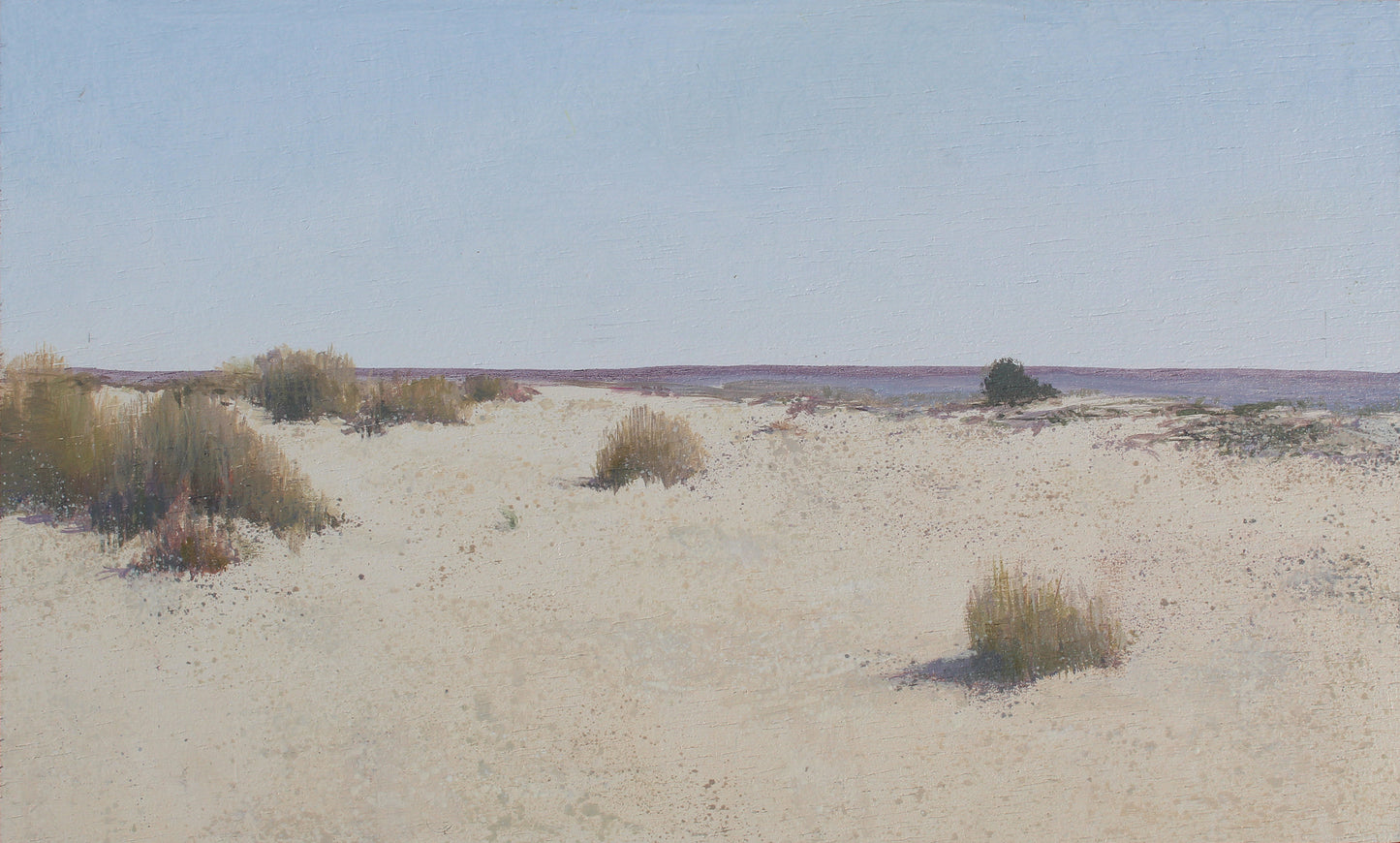 Doñana desde el Cerro de los Ánsares VII (2025) - José Luis Romero [19x31 cm]