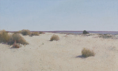 Doñana desde el Cerro de los Ánsares VII (2025) - José Luis Romero [19x31 cm]