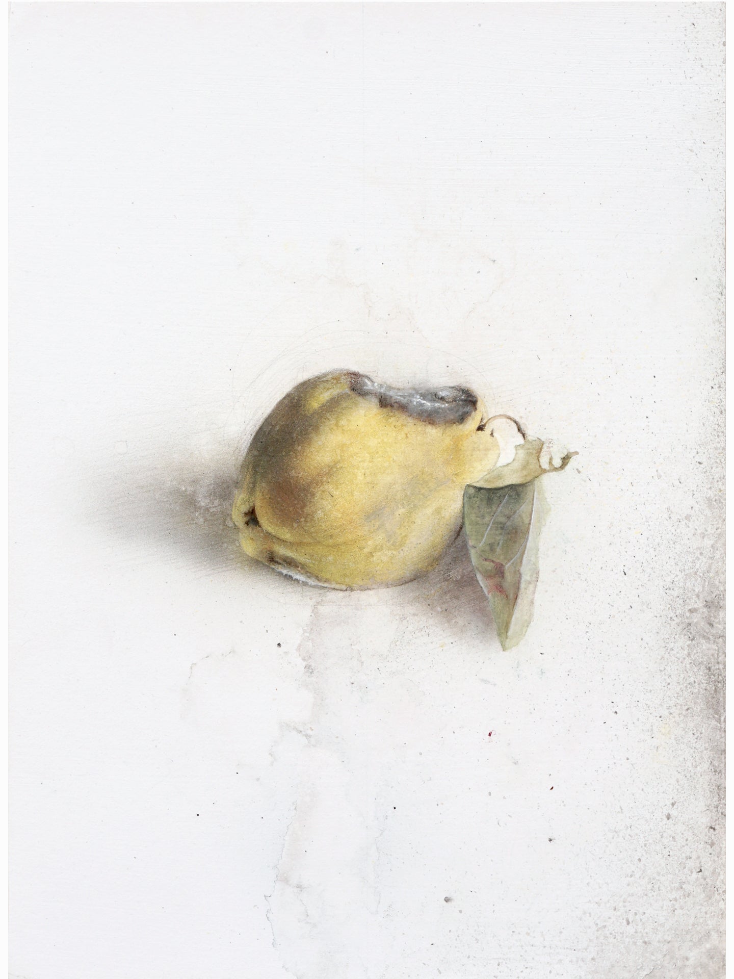 La podrida X (2025) - Gen Isoe [30 x 22 cm]