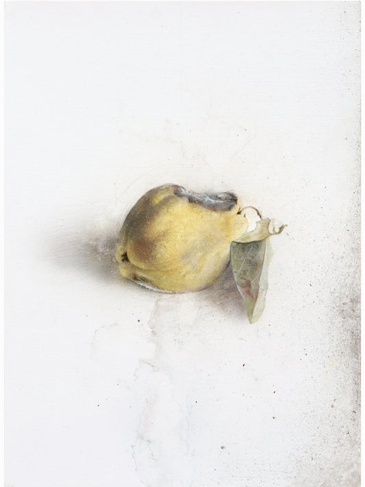 La podrida X (2025) - Gen Isoe [30 x 22 cm]