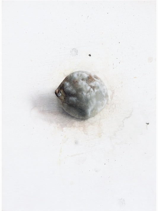 La podrida XI (2025) - Gen Isoe [30 x 22 cm]