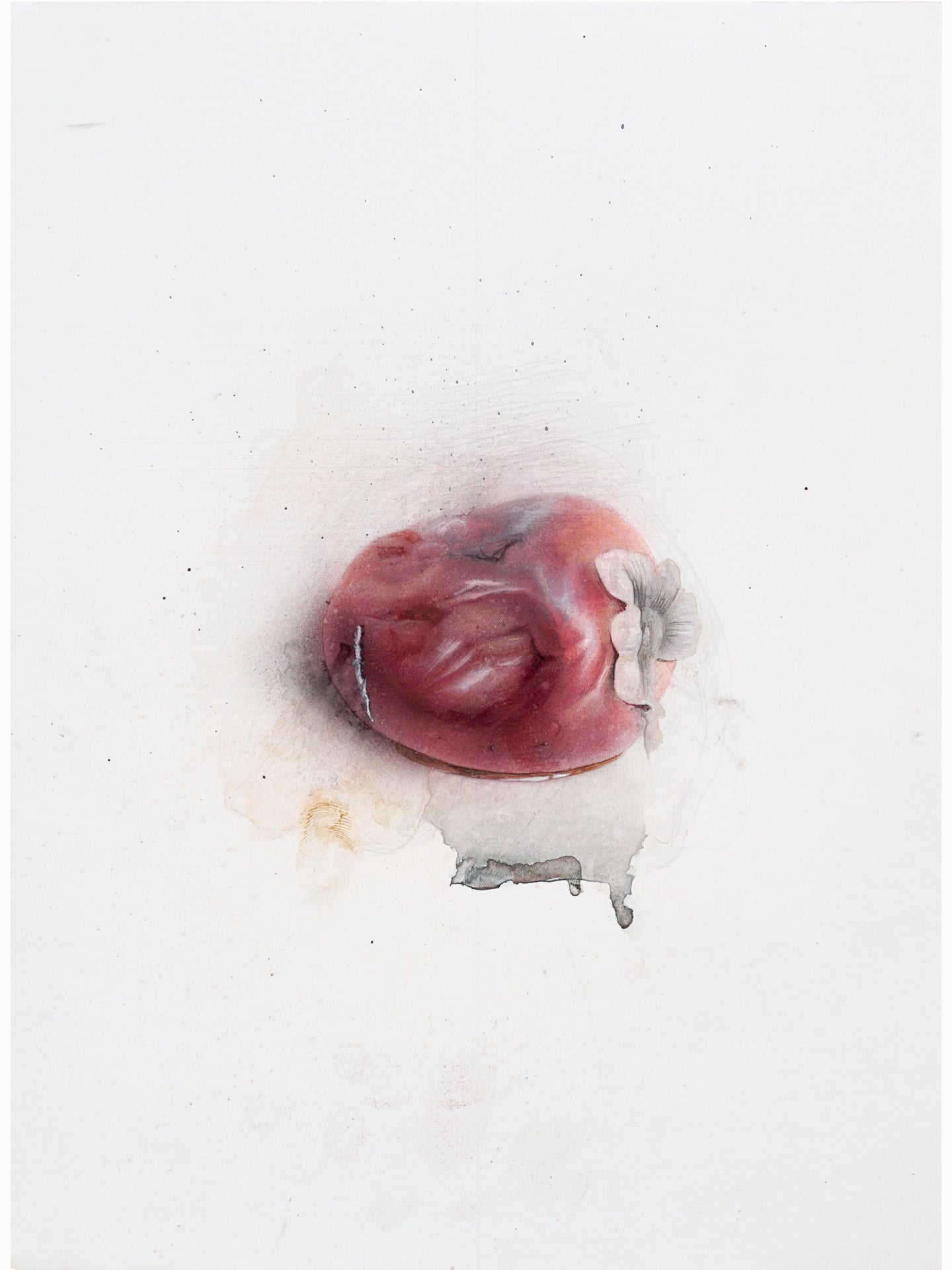 La podrida XII (2025) - Gen Isoe [30 x 22 cm]
