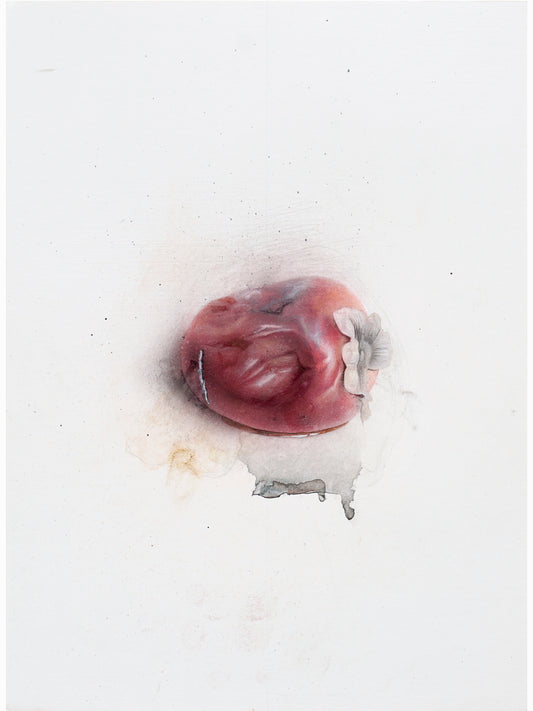 La podrida XII (2025) - Gen Isoe [30 x 22 cm]