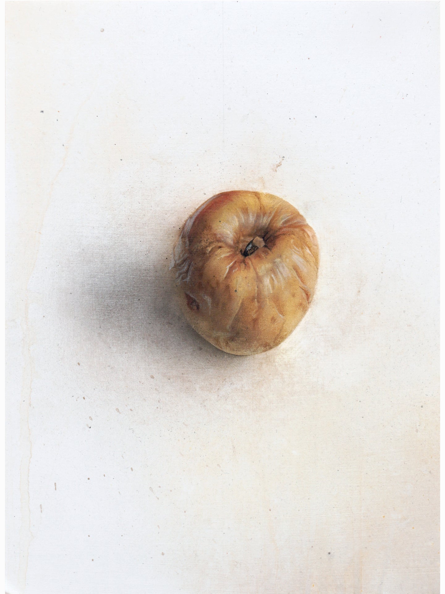 La podrida XIV (2025) - Gen Isoe [30 x 22 cm]