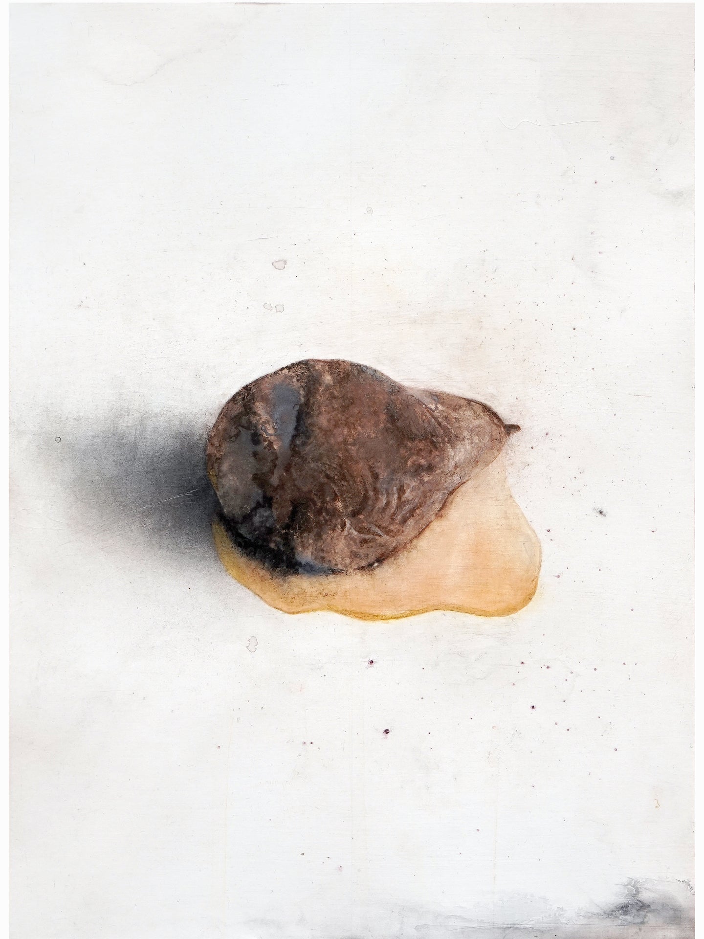 La podrida III (2024) - Gen Isoe [30 x 22 cm]