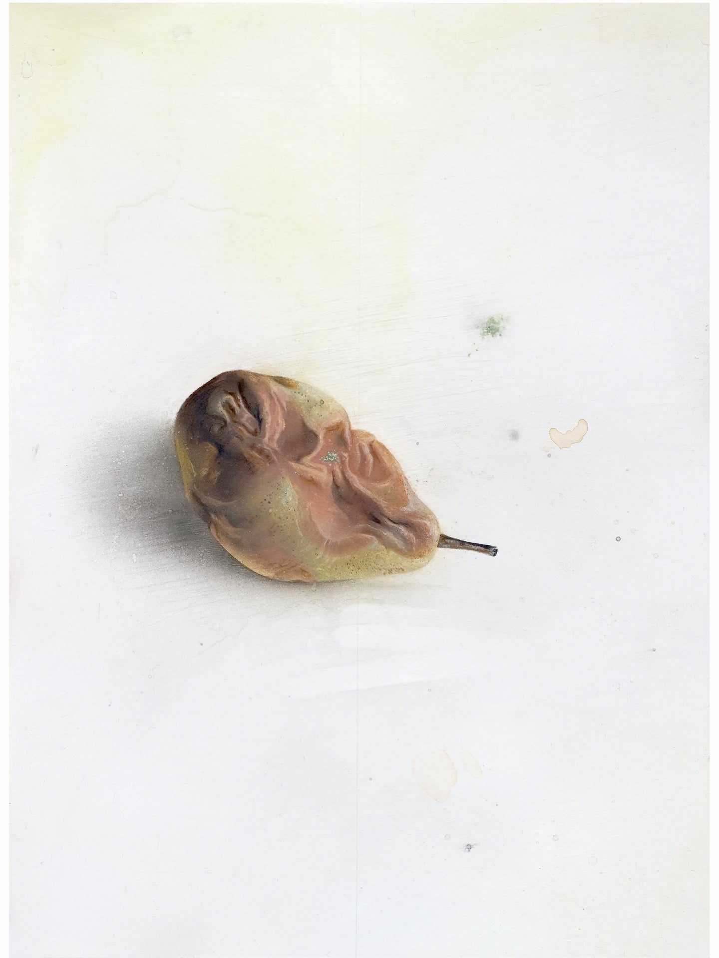 La podrida IV (2024) - Gen Isoe [30 x 22 cm]