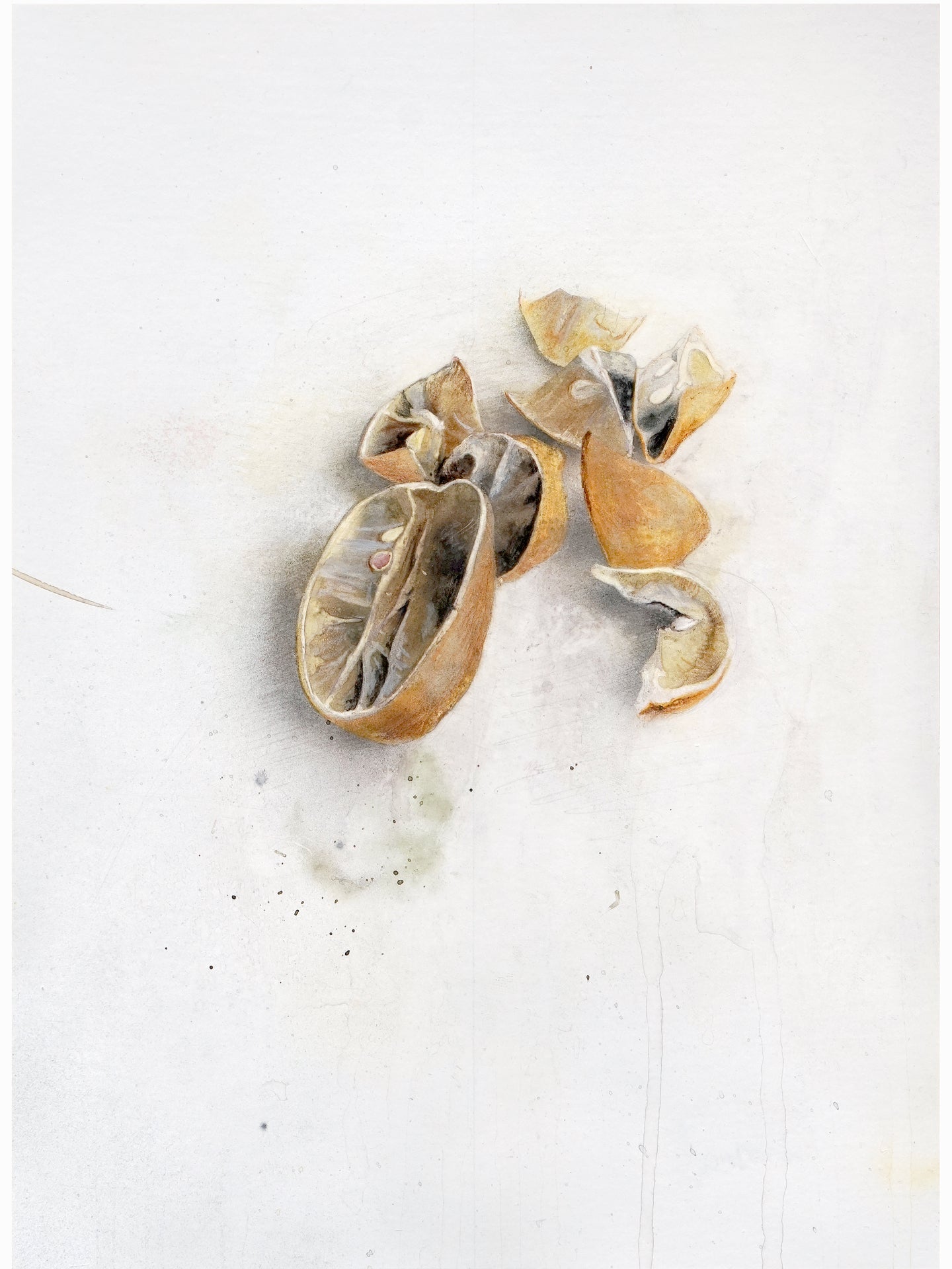 La podrida V (2024) - Gen Isoe [30 x 22 cm]