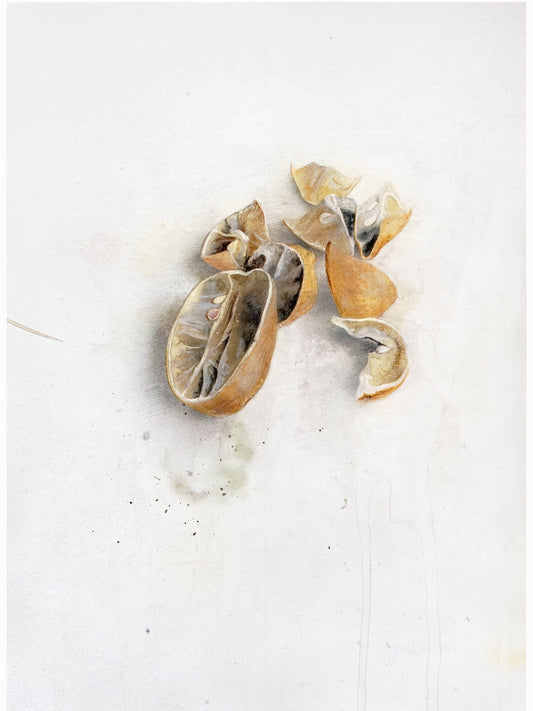 La podrida V (2024) - Gen Isoe [30 x 22 cm]