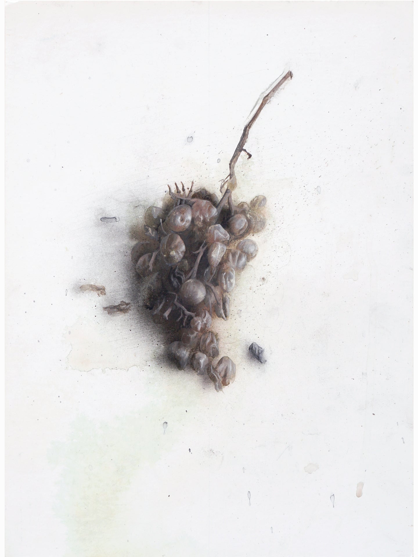 La podrida VII (2024) - Gen Isoe [30 x 22 cm]