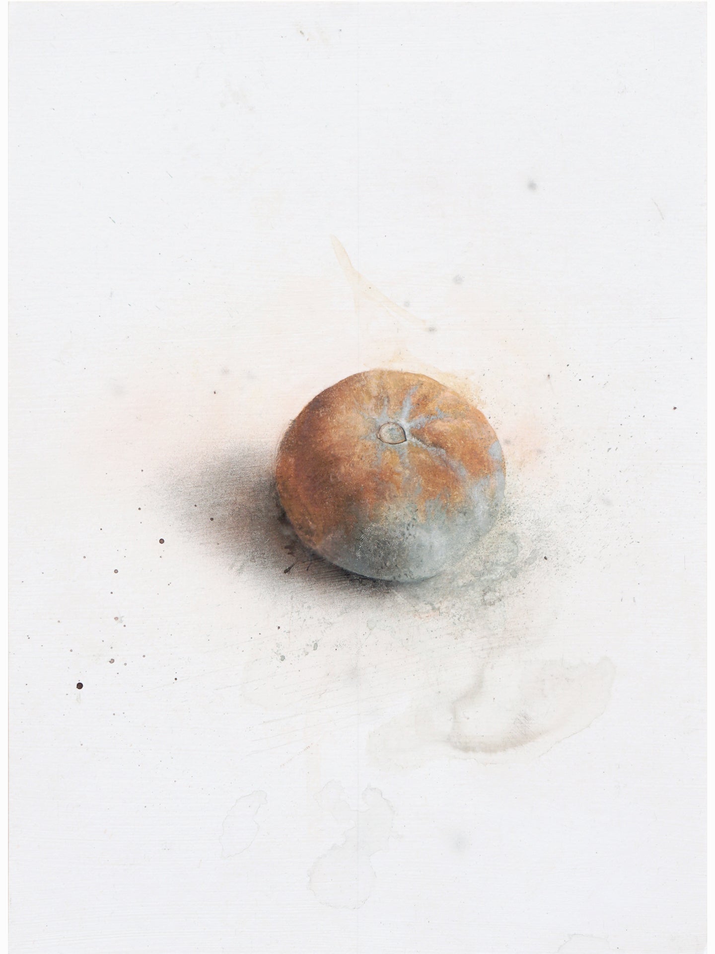 La podrida VIII (2024) - Gen Isoe [30 x 22 cm]