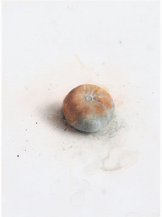 La podrida VIII (2024) - Gen Isoe [30 x 22 cm]