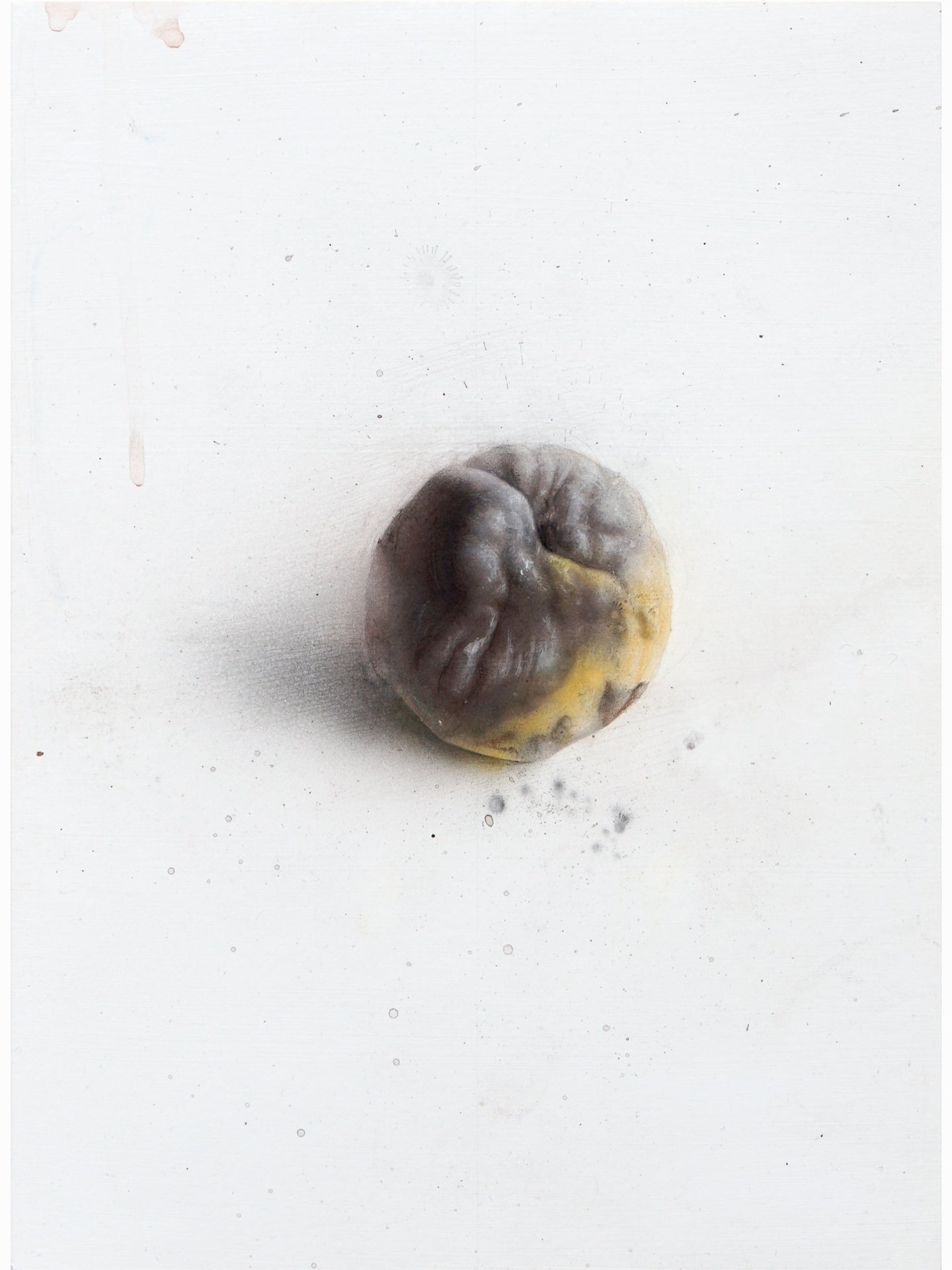 La podrida IX (2024) - Gen Isoe [30 x 22 cm]