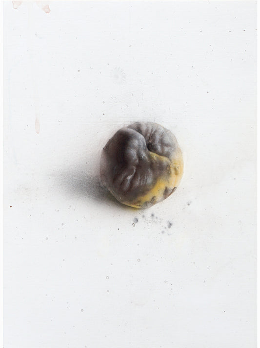 La podrida IX (2024) - Gen Isoe [30 x 22 cm]