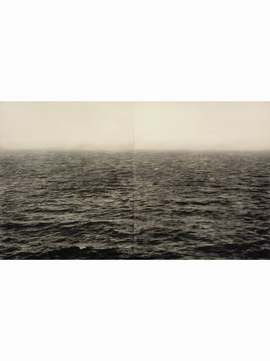 M.M (2012) - Juan Lara [114 x 75 cm]