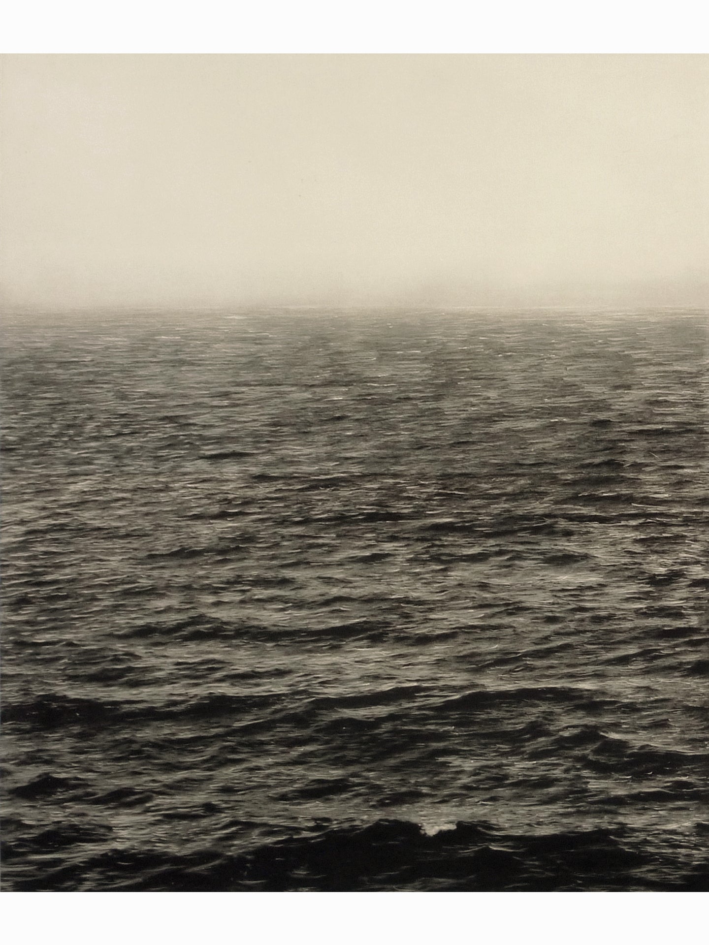 M.M (2012) - Juan Lara [114 x 75 cm]