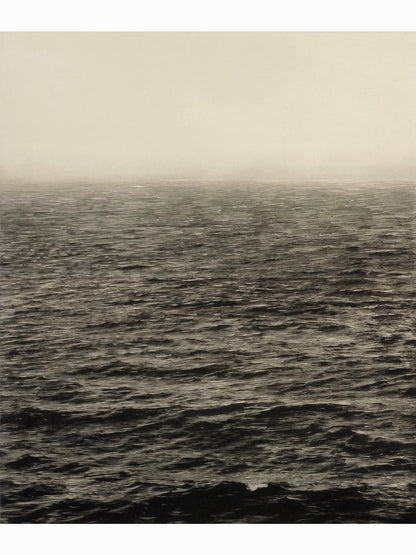 M.M (2012) - Juan Lara [114 x 75 cm]