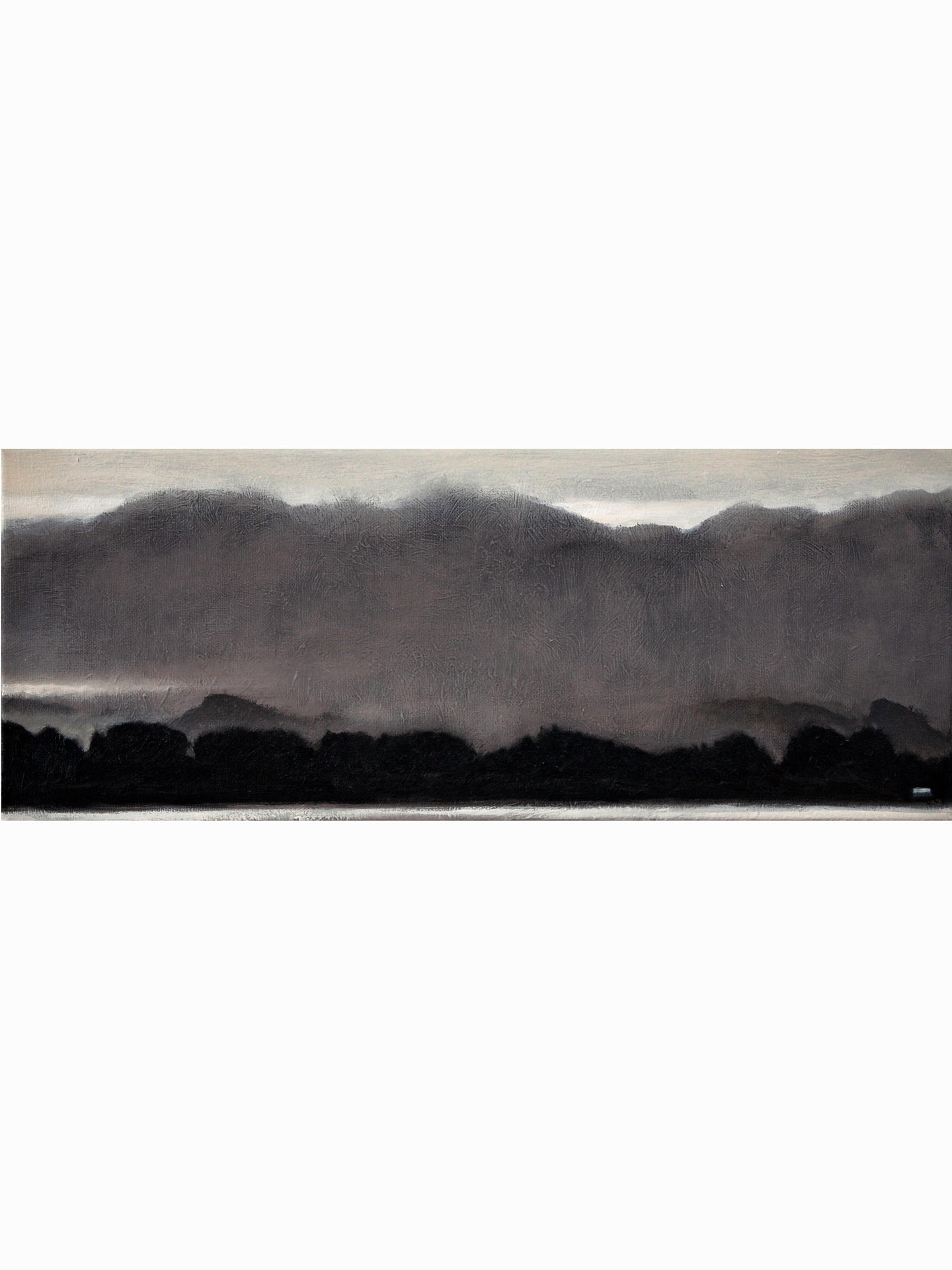 Montes del norte (2021) - Manuel Luca de Tena [20x55 cm]