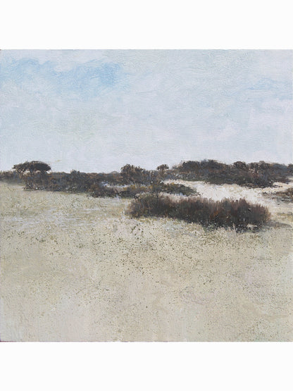 Pinos del Coto VII (2025) - José Luis Romero [24x24 cm]