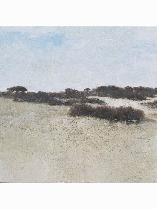 Pinos del Coto VII (2025) - José Luis Romero [24x24 cm]