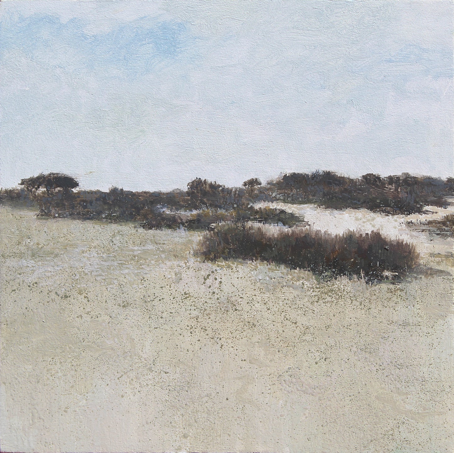 Pinos del Coto VII (2025) - José Luis Romero [24x24 cm]