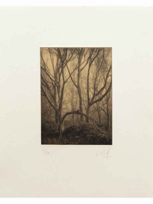 Ruido del agua IV (2025) - Juan Lara [35 x 28 cm]