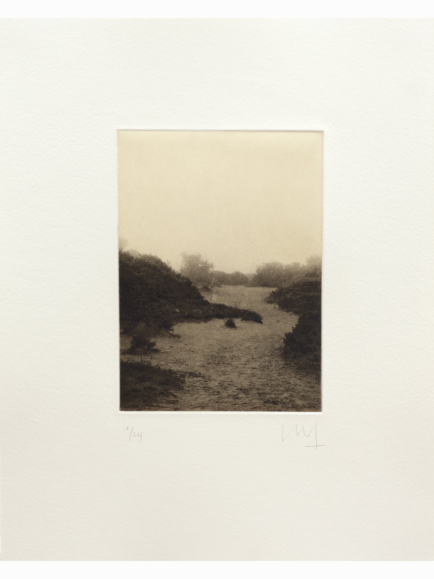 Ruido del agua V (2025) - Juan Lara [35 x 28 cm]