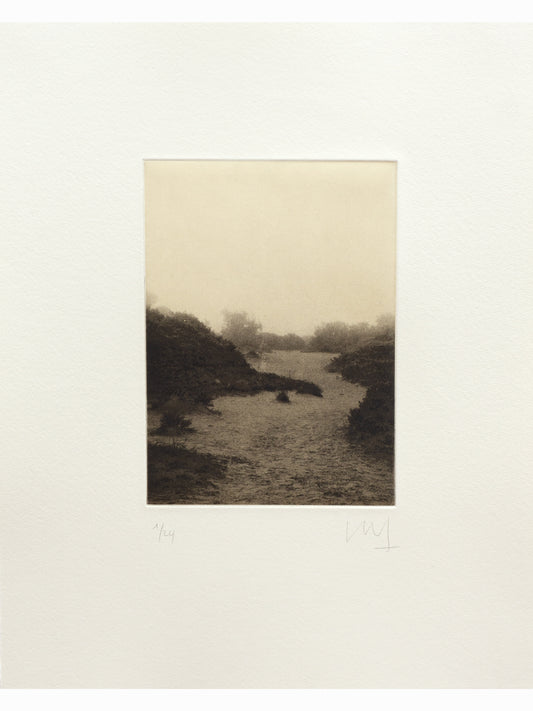 Ruido del agua V (2025) - Juan Lara [35 x 28 cm]